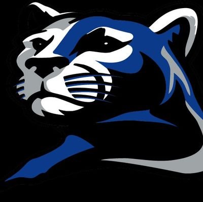 Promoting opportunities and recruitment for Rogers MN athletes.
**Not affiliated with Rogers Varsity Programs**