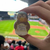 Reo🐧☔️☔️☔️ (@reo_swa) 's Twitter Profile