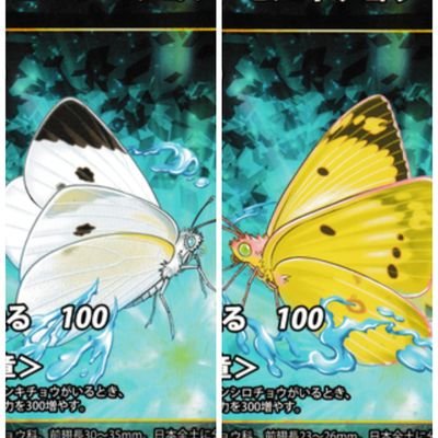 蟲神器と五等分の花嫁カードゲームメインのアカウント/蟲神器公認サポーター🆔1254/公認大会参加2回中優勝1回/ごとカド四葉メイン/蟲主さん、ごとカドされている方と交流できたらと思います/よろしくお願いします🙏
