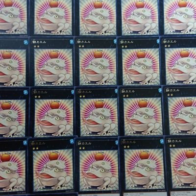 Temple_YP's profile picture. 高橋李依とプリキュアとガンダムが大好きなYP 三宝亭の皿を割りました