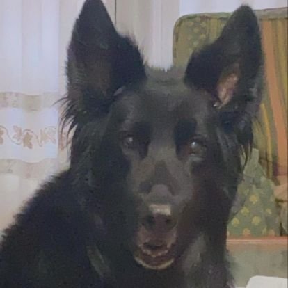 mandarinaemma's profile picture. 