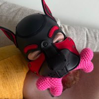 Xander ❤️🩷 (@pupxander_) 's Twitter Profile
