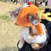 Araki (@_armmh) Twitter profile photo Araki (@_armmh) Twitter profile photo
