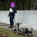 MASTER OF PIGS ๐ท๐ฌ๐ง (@itsonlyjordon_) Twitter profile photo MASTER OF PIGS ๐ท๐ฌ๐ง (@itsonlyjordon_) Twitter profile photo
