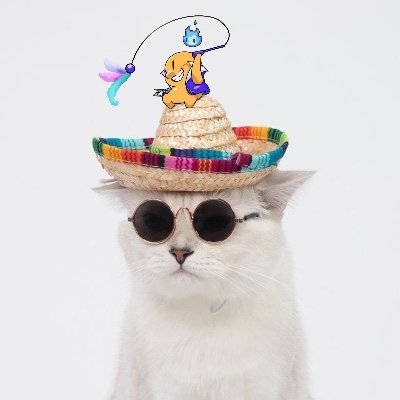 KitGazinpoj's profile picture. Co-founder @zentry