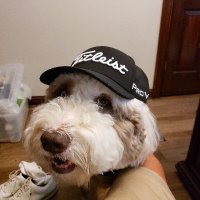 Spooks (@trevlacb) 's Twitter Profile