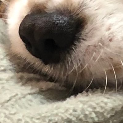 KGJHkXet9q13758's profile picture. 40代。受け身では無く、人生を自分からしかけて楽しみたい。そう思ったのでXで発信することから始めることにしました。よろしくお願いします！