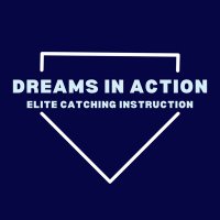 Dreams in Action (@diacatching) 's Twitter Profile