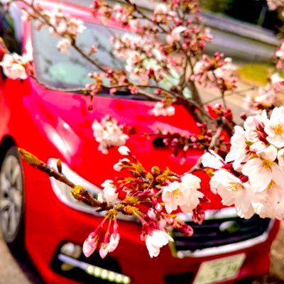 気ままにつぶやいていこうと思ってます。よろしくお願いします! レガシィツーリングワゴンGT-B Limited(2019/2024)→レヴォーグGT(2024〜) ヘッダーのイラストは@b4_105 さん!