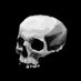 Mass Grave (@massgrave_art) Twitter profile photo Mass Grave (@massgrave_art) Twitter profile photo