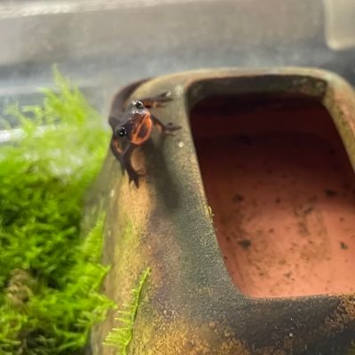 squat1160801's profile picture. 東海大工学部機械システムB2