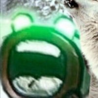 Old GD Content (@contentgd) 's Twitter Profile