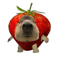 Еля (@ellli_li_li) 's Twitter Profile Photo Еля (@ellli_li_li) 's Twitter Profile Photo