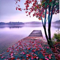 NATURE-RELOAD (@evolve2030) 's Twitter Profile Photo NATURE-RELOAD (@evolve2030) 's Twitter Profile Photo