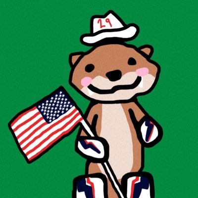Sec_of_defense's profile picture. Jake Oettinger enthusiast and Dallas Stars enjoyer                                   ⭐️💚⭐️💚⭐️💚⭐️