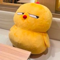 berry (@_berrysol) 's Twitter Profile