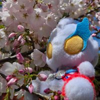 Phoenix (@tsuraraphoenxix) 's Twitter Profile