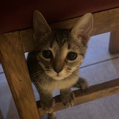 GagaFtRuben's profile picture. 