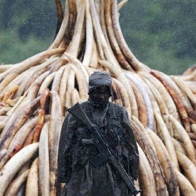 JosephMJ_1's profile picture. Barça,