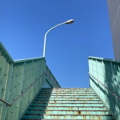 loveresearch__'s profile picture. 雑生活/ねこ/たべもの/ときどき短歌