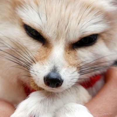 Feather1216982's profile picture. 19