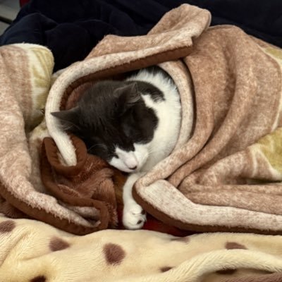 AlexDwalez's profile picture. imagine a guy who loves his girlfriend okay great you’re here