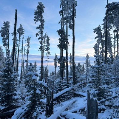 rockposse686's profile picture. 