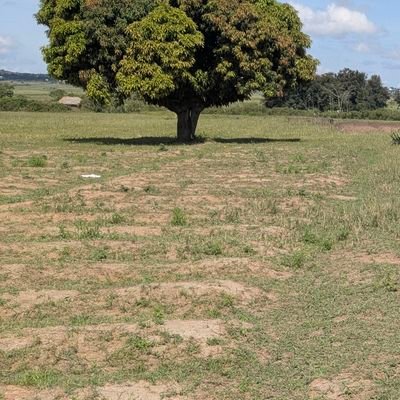 HeroesRemnant61's profile picture. Hate Evil love Good