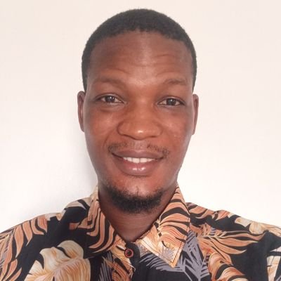 HolladipupoArk's profile picture. UIUX-Graphic design-Farmer