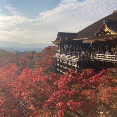 trchugffd's profile picture. 