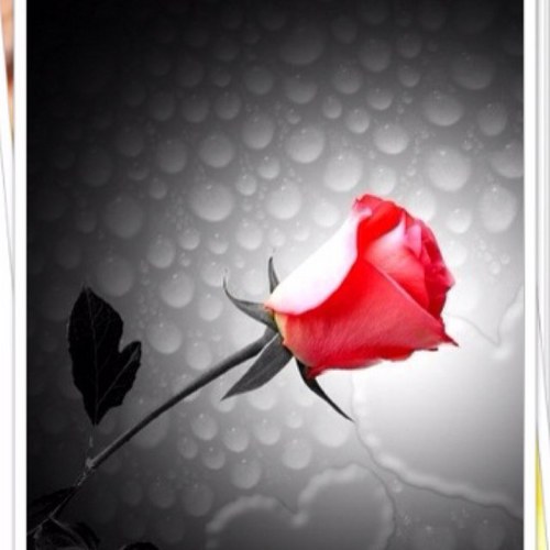 SatinderBhatti's profile picture. 