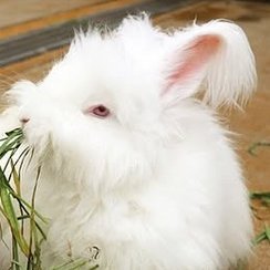 arcl_gk's profile picture. 