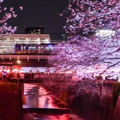 Toyo2000_SN's profile picture. 主に東京、神奈川で電車してます
鍵垢→@ToyoRapid2000