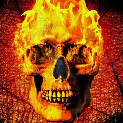 Cyanide345's profile picture. CN-💜                                                                                               
KKR 💜
Bayern Munich ❤️