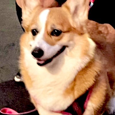 sio_lonlke's profile picture. 