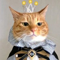 pmnh (@minh_phun) 's Twitter Profile