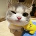 히히 (@oneandonlyhihi) Twitter profile photo 히히 (@oneandonlyhihi) Twitter profile photo