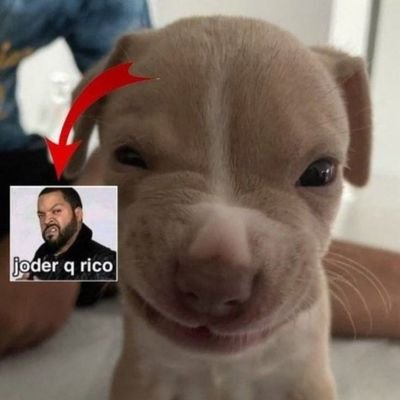 nigg4P88109's profile picture. 