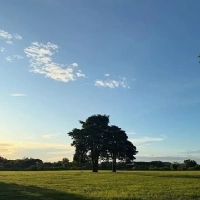 seeyoubeb_'s profile picture. wanna know me?