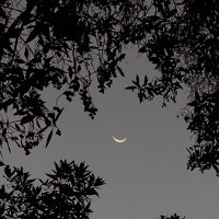 noorhan.eldrogi (@noorhan_eldrogi) 's Twitter Profile Photo