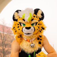 VanInNightMode 🔜 FWA (@leashedvan) 's Twitter Profile