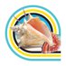 BahamasSpecialtySeafood (@bahamassps_) Twitter profile photo BahamasSpecialtySeafood (@bahamassps_) Twitter profile photo