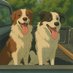 NorDeltaBorderCollie (@collienordelta) Twitter profile photo NorDeltaBorderCollie (@collienordelta) Twitter profile photo