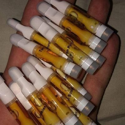 CyprainJah's profile picture. 