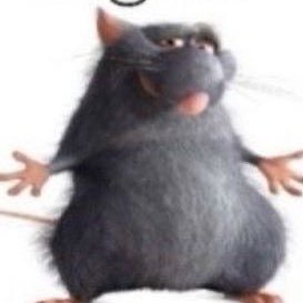 nvmmonika's profile picture. i just popped a whole garbanzo bean