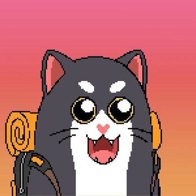 kingho954's profile picture. 吃好喝好长生不老