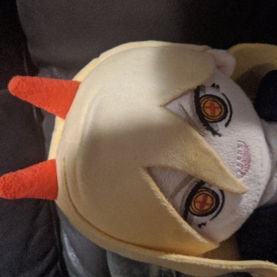 🇲🇽 Average bisexual media enjoyer. Takes pictures of plush dolls. Interested in CSM a little too much. 18+ content/repost.
He/him
Have a good day!