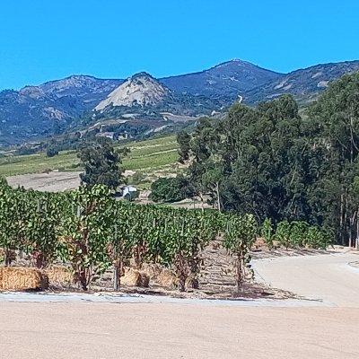 lance_53812's profile picture. health fitness