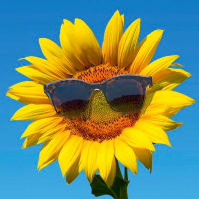 stack_dot_pop's profile picture. anything is possible
