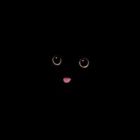 KittyTM (@kittytm_) Twitter profile photo